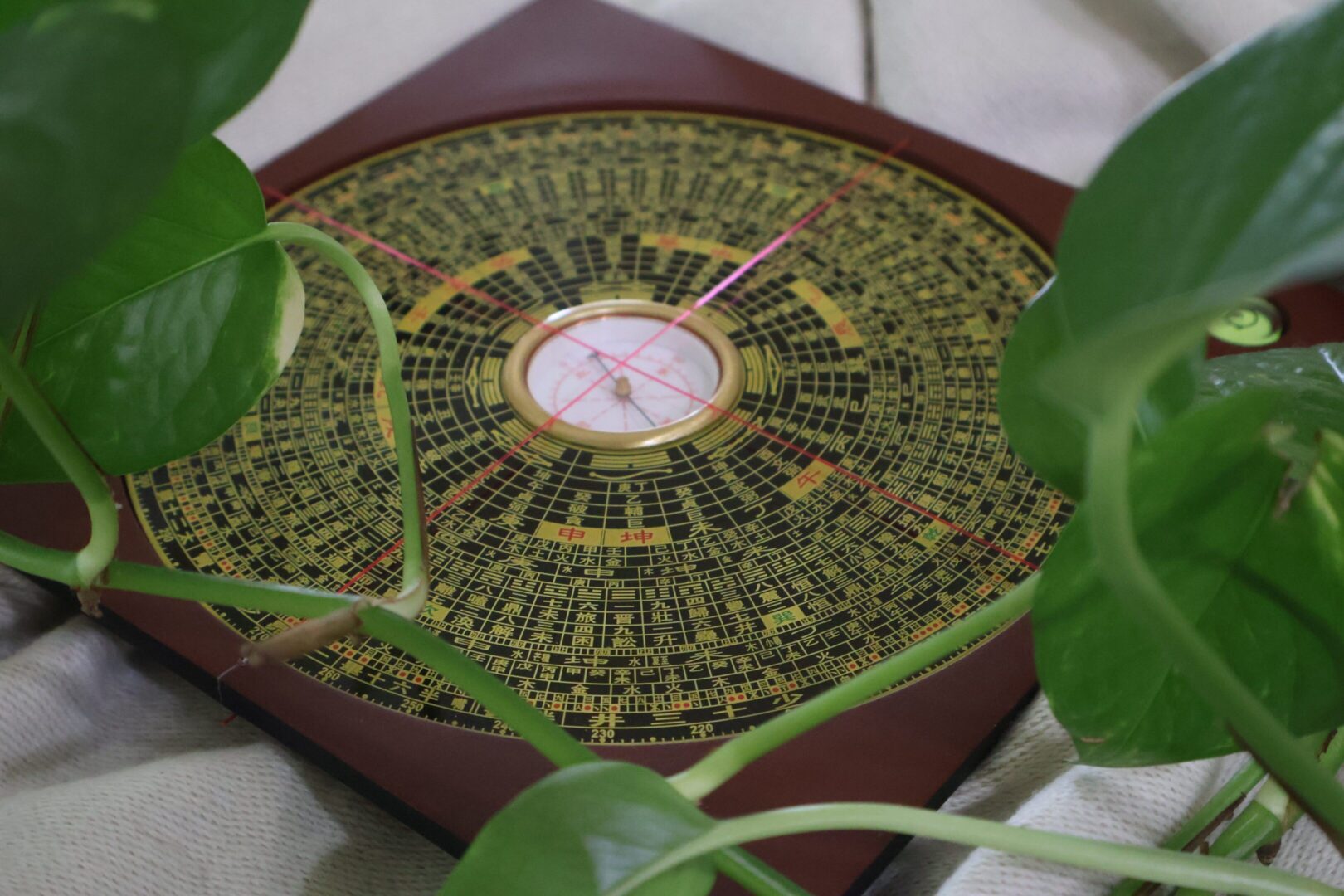 Feng shui compass with green leaves